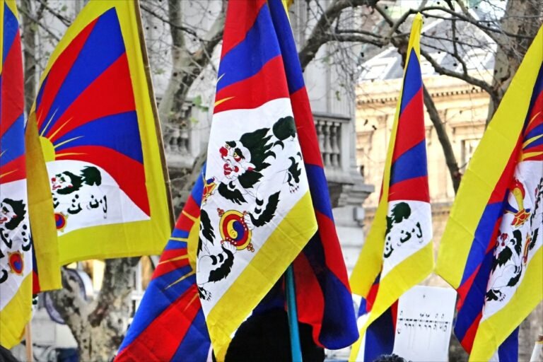 Several Tibetan snow lion flags held up in front of bare trees and Paris buildings