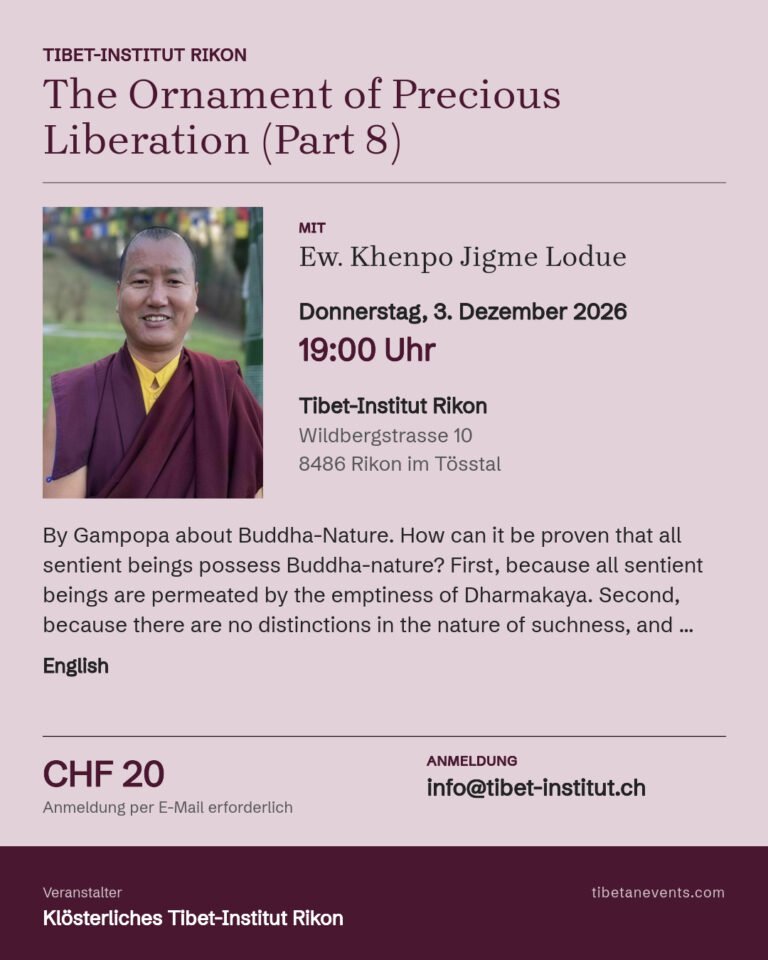 The Ornament of Precious Liberation (Part 8) Poster