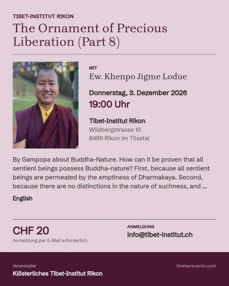 The Ornament of Precious Liberation (Part 8) Poster