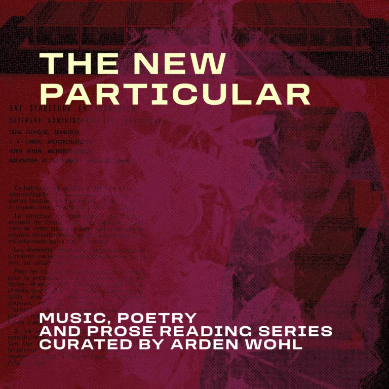 Poster: The New Particular